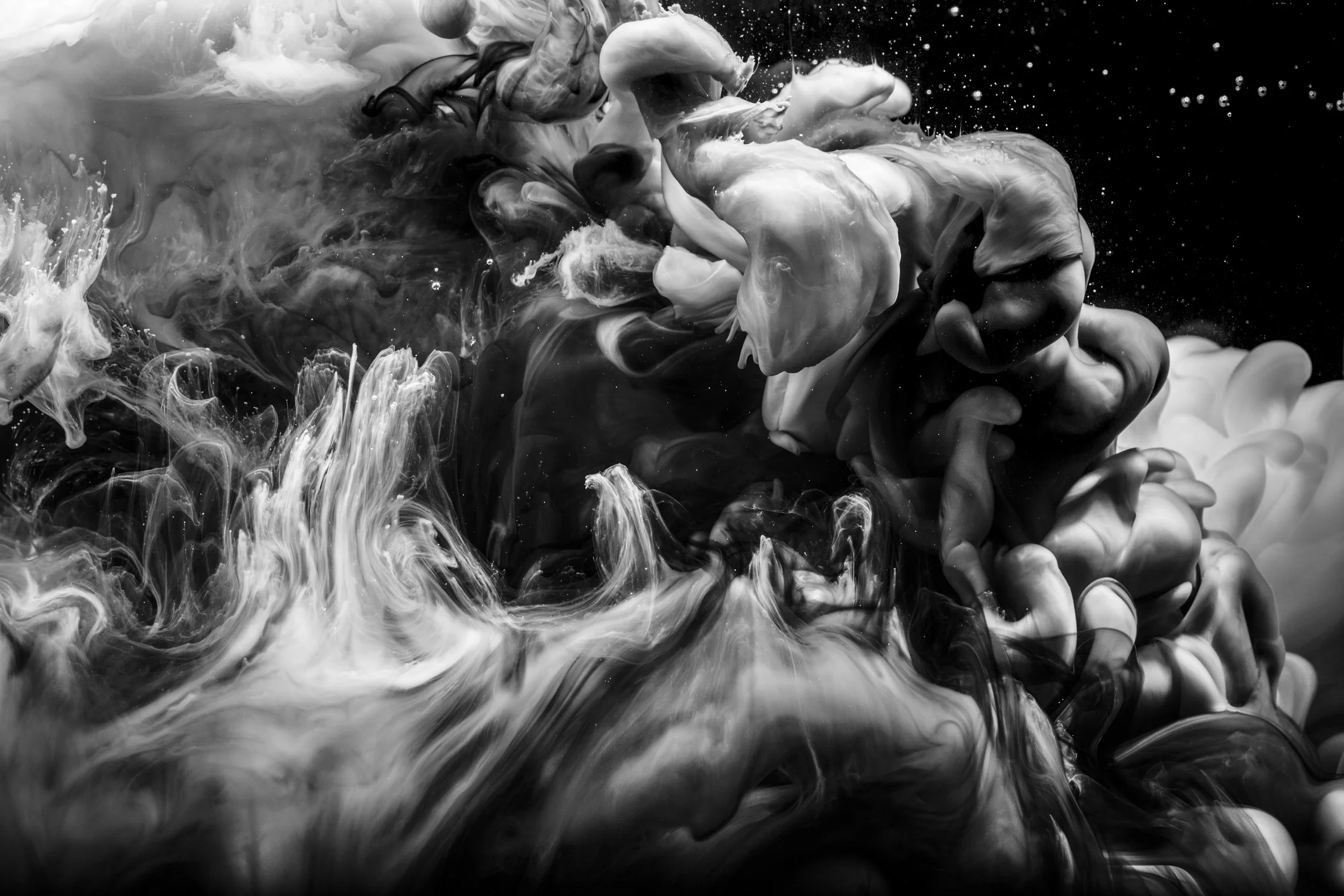 JAVIERA ESTRADA — Black and White Contemporary Abstract Photography